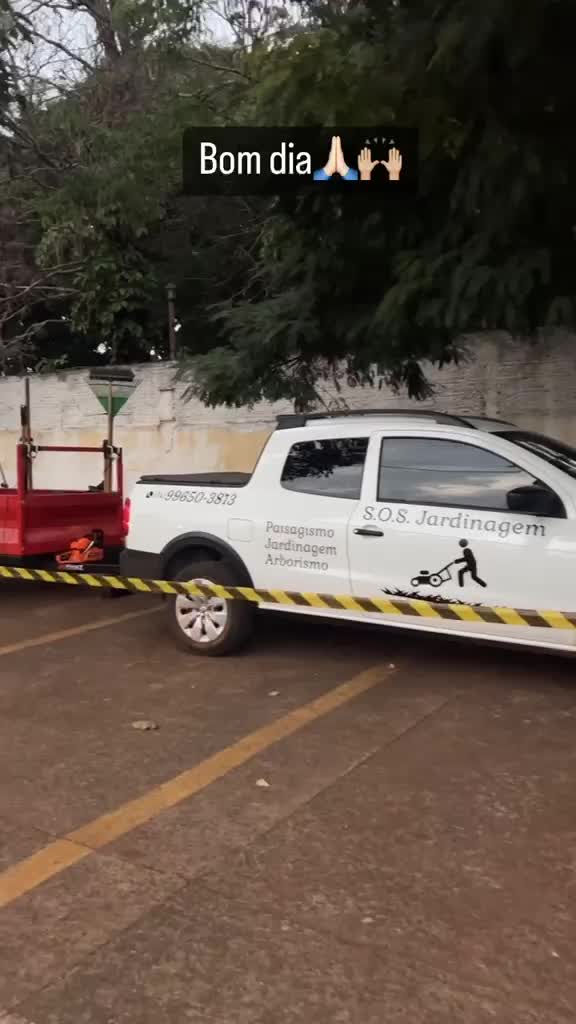 Registro do serviço de poda na Escola Estadual José Penna