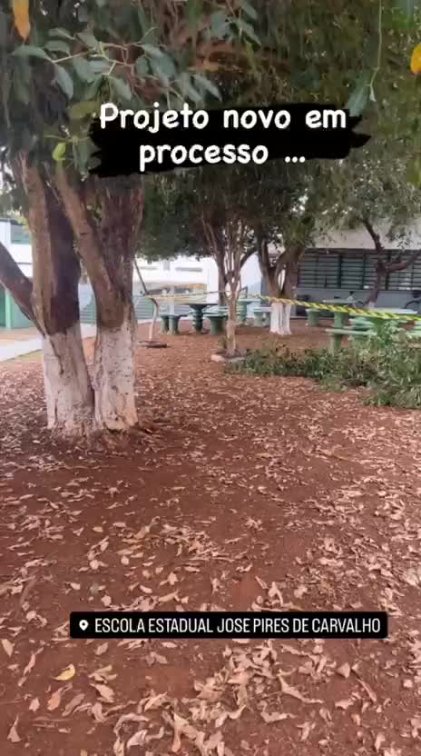 Escolas estaduais — Taquarituba — Poda de árvores